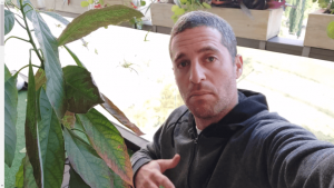 איך מטפלים בעלים חומים בעץ האבוקדו