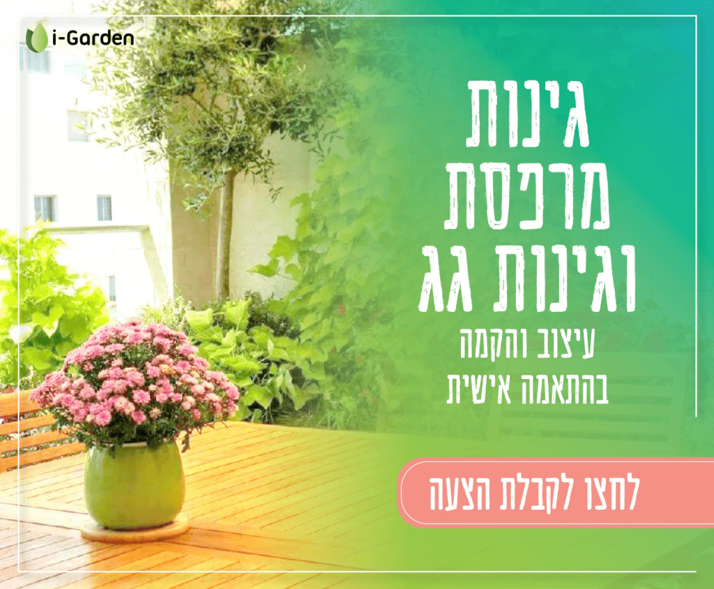 עיצוב גינות מרפסת