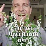 אנג'לוניה לגינה ולמרפסת – פריחה רב שנתית בשלל צבעים