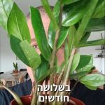 דישון ביתי – כיצד מכינים דשן חינמי ממצרכים שקיימים בכל מטבח?