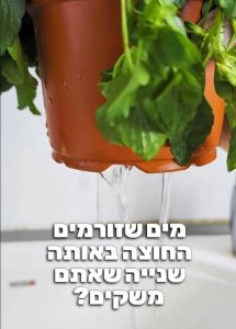 שיטה להציל צמחים מהתייבשות