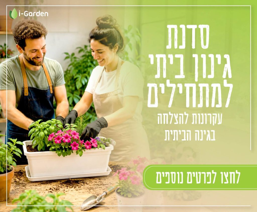 סדנת גינון ביתי למתחילים וחובבנים בגני תקווה